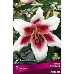 ������ ������ ����� ��-������ ������ (2 ��.)   ����