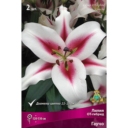 ������ ������ ����� ��-������ ����� (2 ��.)   ����