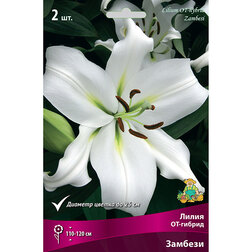 ������ ������ ����� ��-������ ������� (2 ��.)   ����