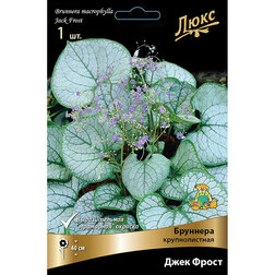 ������ ������ �������� ������������� ���� �����   ����