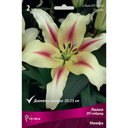 ������ ������ ����� ��-������ ����� (2 ��.)   ����