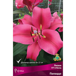 ������ ������ ����� ��-������ ������� (2 ��.)   ����