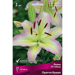 ������ ������ ����� ��-������ ������ ����� (2 ��.)   ����