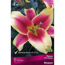 ������ ������ ����� ��-������ ������ (2 ��.)   ����