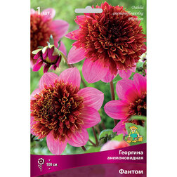 ������ ������ �������� ������������� ������ (1 ��.)   ����