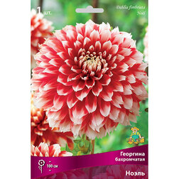 ������ ������ �������� ����������� ����� (1 ��.)   ����