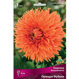 ������ ������ �������� ����������� ������ ������ (1 ��.)   ����