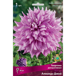 ������ ������ �������� ������������ ������� ���� (1 ��.)   ����