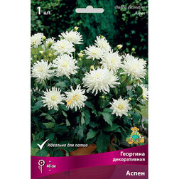 ������ ������ �������� ������������ ����� (1 ��.)   ����