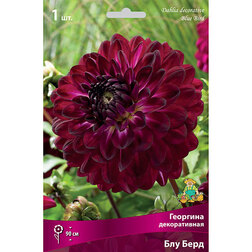 ������ ������ �������� ������������ ��� ���� (1 ��.)   ����