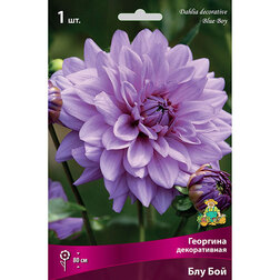 ������ ������ �������� ������������ ��� ��� (1 ��.)   ����