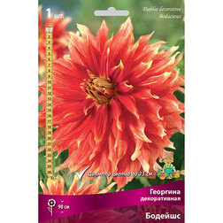 ������ ������ �������� ������������ ������� (1 ��.)   ����