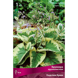 ������ ������ �������� ������������� ������� ����   ����