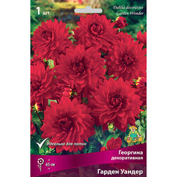 ������ ������ �������� ������������ ������ ������ (1 ��.)   ����