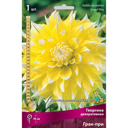 ������ ������ �������� ������������ ����-��� (1 ��.)   ����