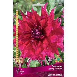 ������ ������ �������� ������������ �������� (1 ��.)   ����