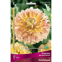 ������ ������ �������� ������������ �������� (1 ��.)   ����