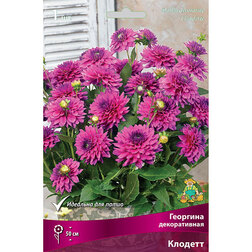 ������ ������ �������� ������������ ������� (1 ��.)   ����