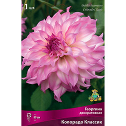 ������ ������ �������� ������������ �������� ������� (1 ��.)   ����