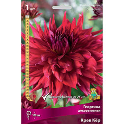 ������ ������ �������� ������������ ���� ʸ� (1 ��.)   ����