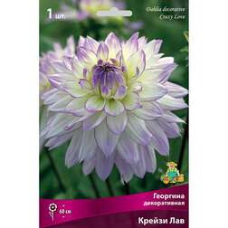 ������ ������ �������� ������������ ������ ��� (1 ��.)   ����