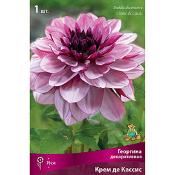 ������ ������ �������� ������������ ���� �� ������ (1 ��.)   ����