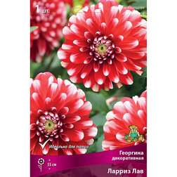 ������ ������ �������� ������������ ������ ��� (1 ��.)   ����