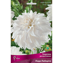 ������ ������ �������� ������������ ���� ������� (1 ��.)   ����