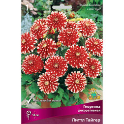 ������ ������ �������� ������������ ����� ������ (1 ��.)   ����