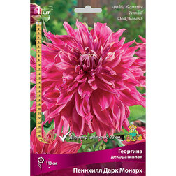 ������ ������ �������� ������������ �������� ���� ������ (1 ��.)   ����