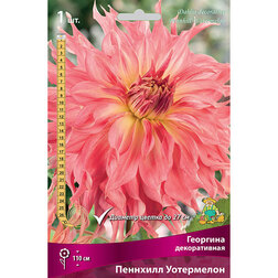 ������ ������ �������� ������������ �������� ���������� (1 ��.)   ����