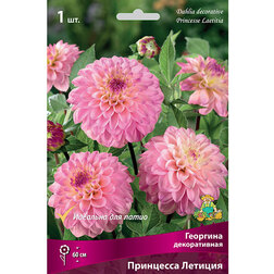 ������ ������ �������� ������������ ��������� ������� (1 ��.)   ����