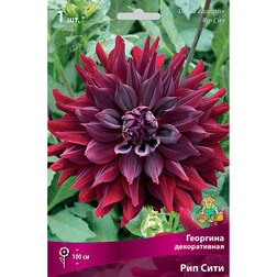 ������ ������ �������� ������������ ��� ���� (1 ��.)   ����