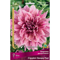 ������ ������ �������� ������������ ������� ����� ��� (1 ��.)   ����