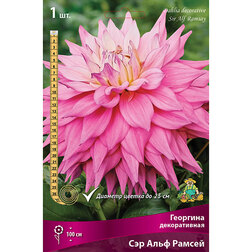 ������ ������ �������� ������������ ��� ���� ������ (1 ��.)   ����