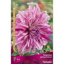 ������ ������ �������� ������������ ������� (1 ��.)   ����