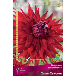 ������ ������ �������� ������������ ����� ������� (1 ��.)   ����