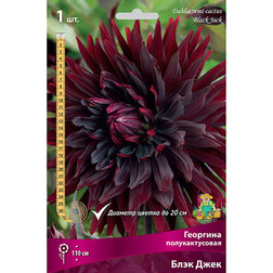 ������ ������ �������� �������������� ���� ���� (1 ��.)   ����