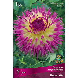 ������ ������ �������� �������������� �������� (1 ��.)   ����