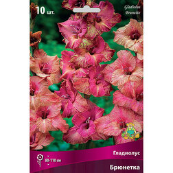 ������ ������ ��������� ��������������� �������� (10 ��.)   ����