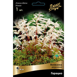 ������ ������ �������� ��������� �������   ����