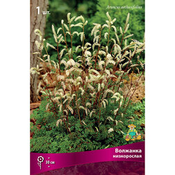 ������ ������ �������� �����������   ����