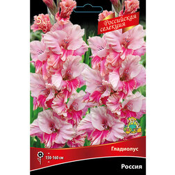 ������ ������ ��������� ������ (5 ��.) (����� ���� �������)   ����