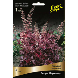 ������ ������ ������� ��������� ����� ��������   ����