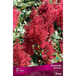 ������ ������ �������� ������� ����   ����