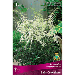 ������ ������ �������� ������������� ���� ��������   ����