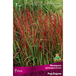 ������ ������ �������� ������������� ��� �����   ����