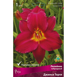 ������ ������ �������� ��������� ������ �����   ����