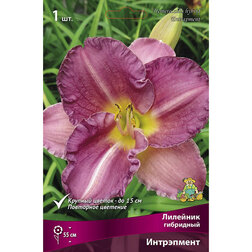 ������ ������ �������� ��������� ����������   ����