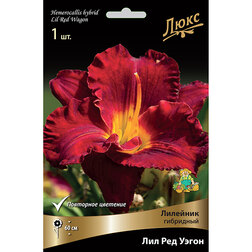 ������ ������ �������� ��������� ��� ��� ����� *   ����